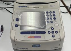 2 PCR Eppendorf Mastercycler Nexus SX1 Thermal Cycler(1)