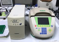 3 PCR, Bio-Rad My cycler